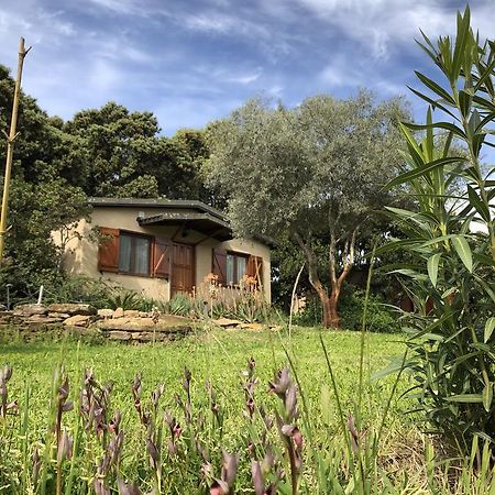 Hostal La Cerca Del Alcornoque Casas de Belvis Exterior foto